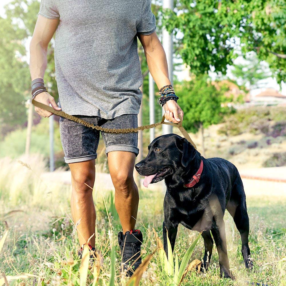OutdoorMaster Bungee Dog Leash, Improved Dog Safety & Comfort